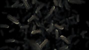 Close up microscopic view of infectious bacteria cells flowing towards the camera. Ideal for projects related to microbiology, healthcare and science. Full HD and looping medical background. video