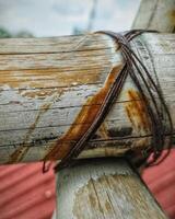 rotten bamboo and wire photo