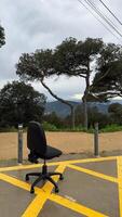 Office chair positioned outdoors on a yellow-marked area, surrounded by trees and mountains, creating a unique contrast with nature photo