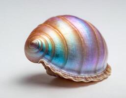 Elegant crystal shell with opalescent glow sculpted delicately against a clean white background, ideal for sophisticated presentations and high-end natural product visuals photo