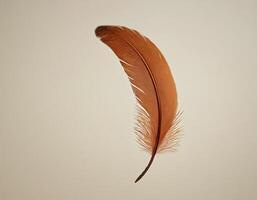Delicate single feather drifting softly in clean light with a minimal elegant approach, perfect for enhancing calm, luxury, or natural themed creative work photo