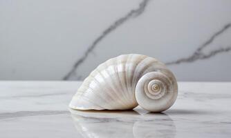 Beautiful shell resting on a luxurious marble floor and background, combining natural elements with elegant stone textures for refined lifestyle or interior design imagery photo