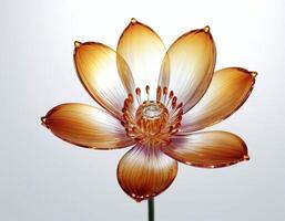 Detailed single flower with delicate translucent petals on a white isolated background, offering a clean and modern floral design ideal for minimalistic and elegant visual projects photo