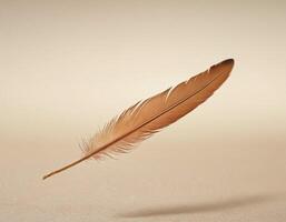Soft floating feather depicted with clean lighting and minimalist elegance, offering a sense of tranquility and refinement for brand identity or artistic imagery photo