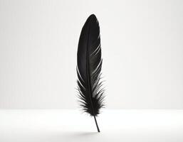 Detailed realistic black feather isolated on white background, minimalistic style focusing on intricate textures and clean presentation ideal for design, branding, or educational materials photo