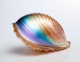 Detailed opalescent crystal shell glowing softly with sculpted light on a pristine white background, perfect for elegant product visuals, packaging, and artistic nature themes photo