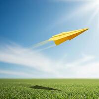 airplane in the field photo