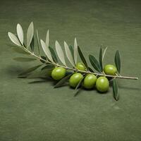 An olive branch with green olives and leaves is displayed against a textured green background, highlighting natural beauty photo