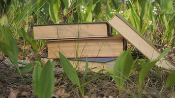 Stack of Books on Forest Floor, Vintage books resting on green forest ground, surrounded by fresh leaves. video