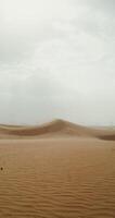 Desert with fine yellow sand on windy day. The wind develops fine sand dust, forming dunes. Desert, vertical . 4k , red komodo photo