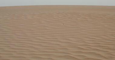 Patterns on sand in desert. The moves from sand waves to a general view of the desert with a sandy haze photo