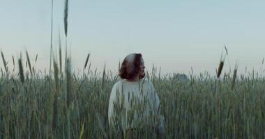 Young woman of European appearance, dressed in a white sweater, stands among a wheat field looking around. in the evening, 4k, red komodo photo