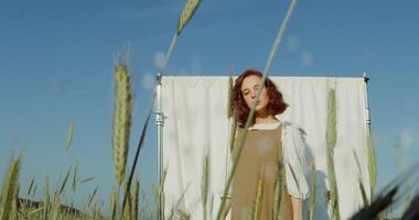 Beautiful red-haired woman poses in front of a white screen set among a wheat field, looking into the camera with a serious look. Ears of wheat are taller than a woman. 4k , red komodo photo