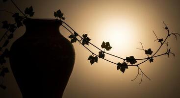 A vase with vines hanging from it photo