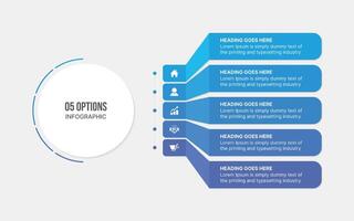 Creative Circle Infographic Template Design with 5 Step Options vector