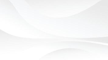 abstract white background with swirl lines and smooth texture vector