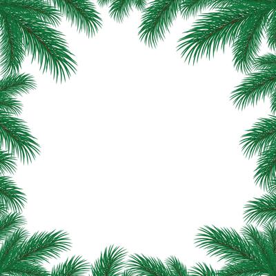 The square frame with branches of pine tree.