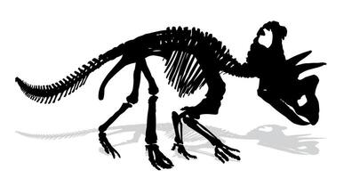 Skeleton of ancient dinosaur. vector