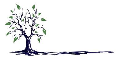 The tree Sketch. vector