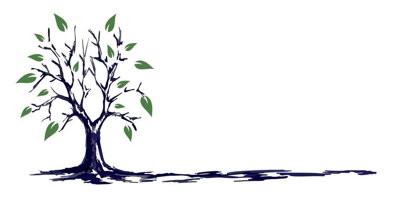 The tree Sketch.