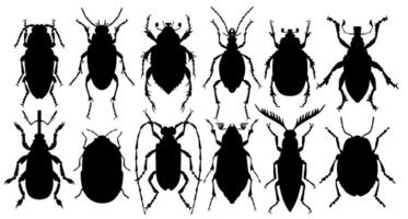 Silhouettes of bugs. vector