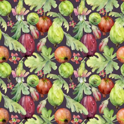 Gooseberry Currant garden berries leaves flowers scattered in water dew drops hand drawn in watercolor. Seamless pattern isolated on dark. Home preserves, food store decor, wrapping gift paper textile