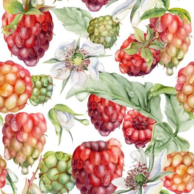 Raspberry ripe garden berries, flowers in water dew drops hand drawn in watercolor. Seamless isolated pattern tile. Home preserves, textile washi tape, food store decor, packaging, wrapping paper