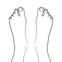 Barefoot outline. Linear sketch of a naked human foot vector