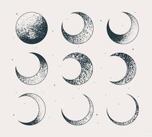 Lunar cycle, crescent moon in different phases vector