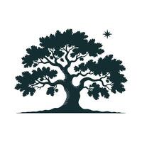 an oak tree with leaves and branches vector