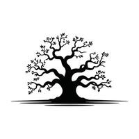 an oak tree with leaves and branches on a white background vector