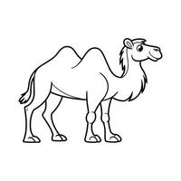 a camel is standing in a line on a white background vector