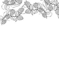 common hop frame, logo, template. Graphic ink, eco, organic Humulus lupulus branch with leaves and cones illustration isolated on background. Hand drawn line sketch. For vector
