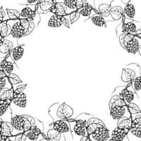 common hop frame, logo, template. Graphic ink, eco, organic Humulus lupulus branch with leaves and cones illustration isolated on background. Hand drawn line sketch. For designer vector