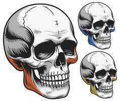 A unique approach to skull design in a concept illustration format. vector