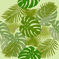 Monstera and palm leaves illustration, on a green background. A set of exotic tropical leaves of different types. vector
