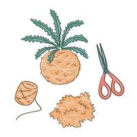 Top view of horsetail kokedama DIY. Moss, rope, scissors and soil liolated on white background. Flat lay Perfect for nature, decor, and eco-home visuals vector
