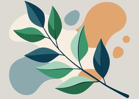 a plant with different colors and the leaves vector