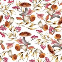 White mushrooms, dried herbs and red berries watercolor seamless pattern isolated. Rowan branch with porcini, leaves hand drawn. Boletus, forest plants on botanical repeated background for textile vector