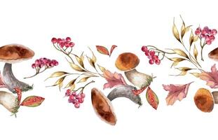 Autumn repeated texture with mushroom, dry herbs and viburnum berries watercolor isolated. Rowan red berry branch with porcini, leaves hand drawn. Boletus, forest plants on botanical seamless border. vector
