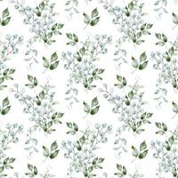 Watercolor foliage seamless pattern in sage green colors isolated. Eucalyptus branches and holly leaves on delicate repeated texture in soft green hand painted. Greenery background design textile vector