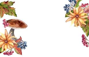 Autumn border of aspen mushrooms with yellow flower and rowan berries in watercolor isolated. Coneflowers and black chokeberry painted in botanical sketch. Frame with wild forest plants hand drawn. vector