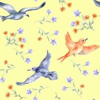 Watercolor seamless pattern birds and flowers isolated. Botanical repeated texture with flying birds in blue orange colors hand drawn. Colorful birds and simple blooms design pattern for textile vector