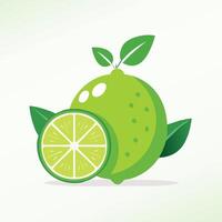 Juicy lime with cross-section slice, shown with stylized texture and vibrant green shades, on a white minimal background. vector