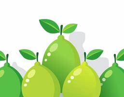 Fresh whole lime in flat design style with clean highlights and soft shadows, surrounded by green leaves on white background, simple and modern fruit art. vector