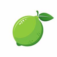 Flat design illustration of a single lime with soft reflection and leaf detail, placed over a white background with space for text. vector