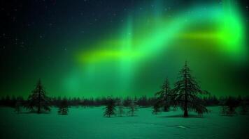 Polar Lights In Forest Loop video
