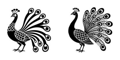 Exotic Peacock Shape with Decorative Feather Flow White Background. vector
