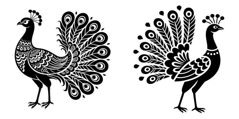 Elegant Black Peacock Silhouette Standing in Side Profile White Background.