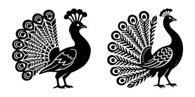 Graceful Peacock Silhouette with Flowing Tail Feathers white background. vector